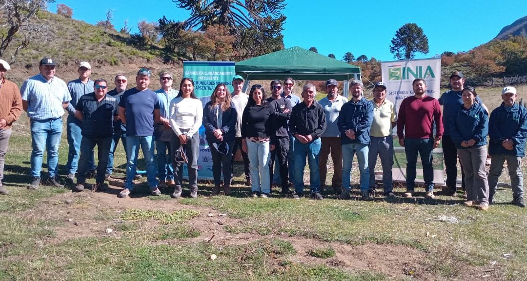 Riego en Icalma: apuesta por una ganadería climáticamente inteligente