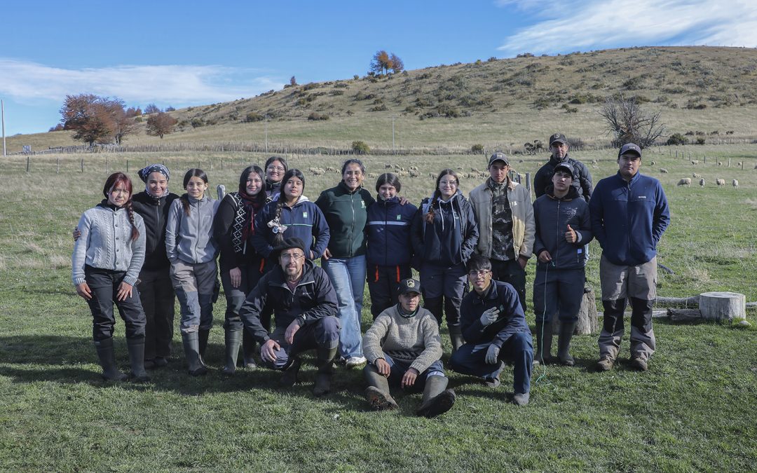 INIA desarrolla jornada práctica de mejoramiento genético ovino con estudiantes en Lago Frío
