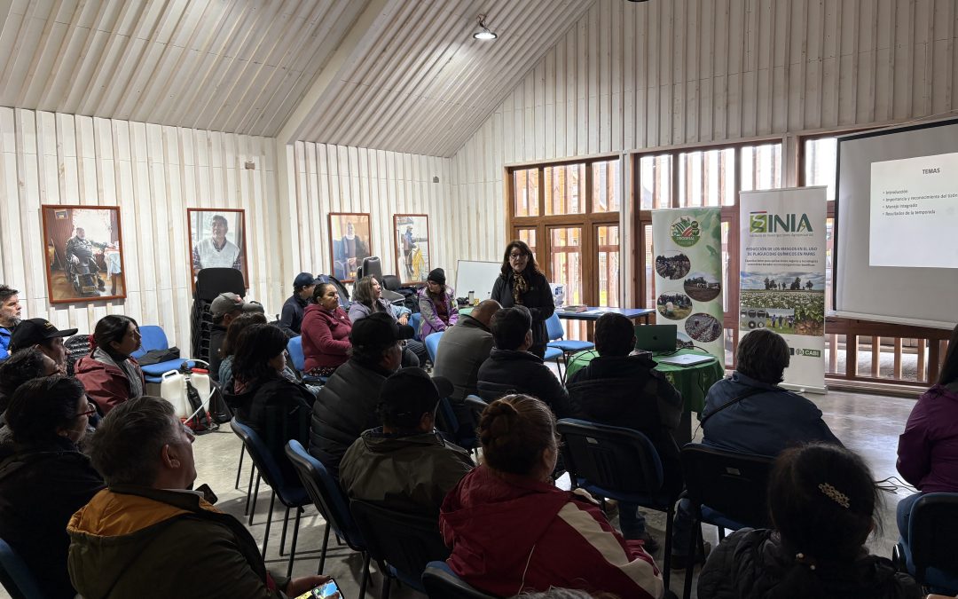 INIA desarrolla talleres técnicos en Chiloé para reducir el uso de plaguicidas químicos en el cultivo de papa