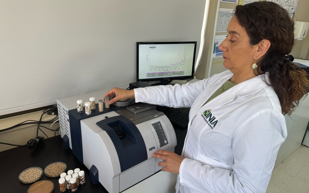 INIA fortalece capacidades en tecnologías NIRS para alimentación animal y sostenibilidad