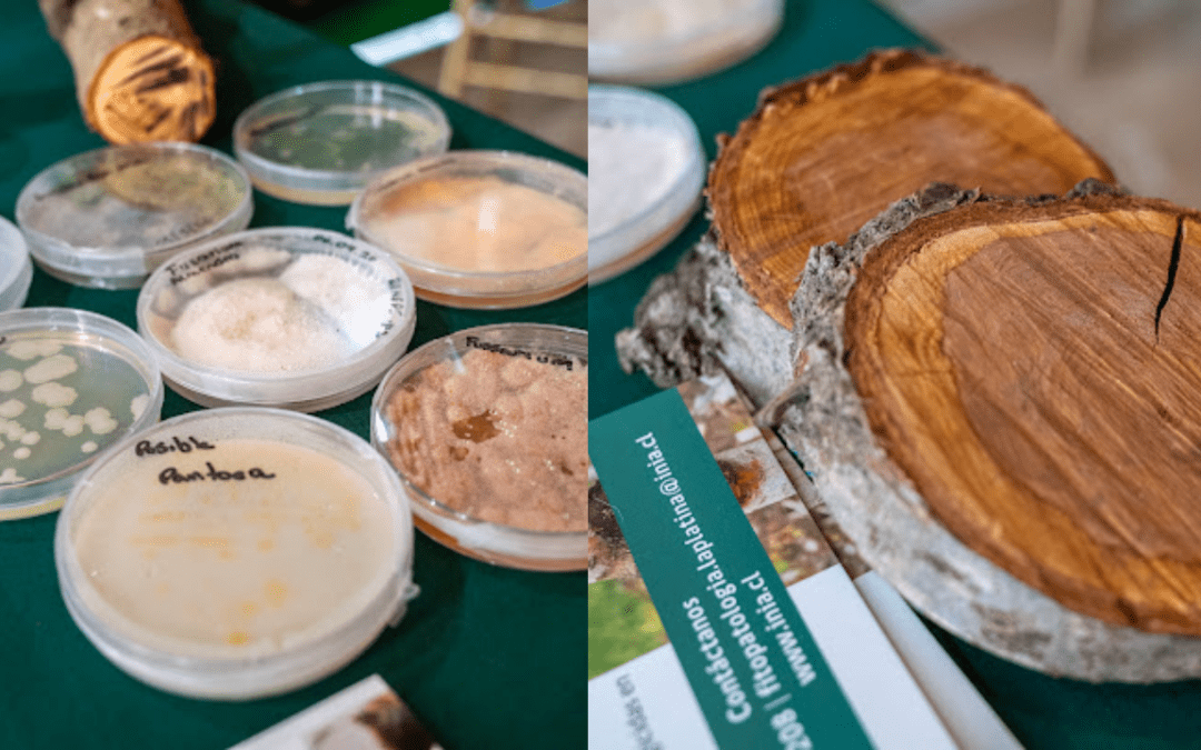 Equipo de INIA La Platina fue parte del Encuentro Nacional de Almendros con exposición sobre competitividad del cultivo