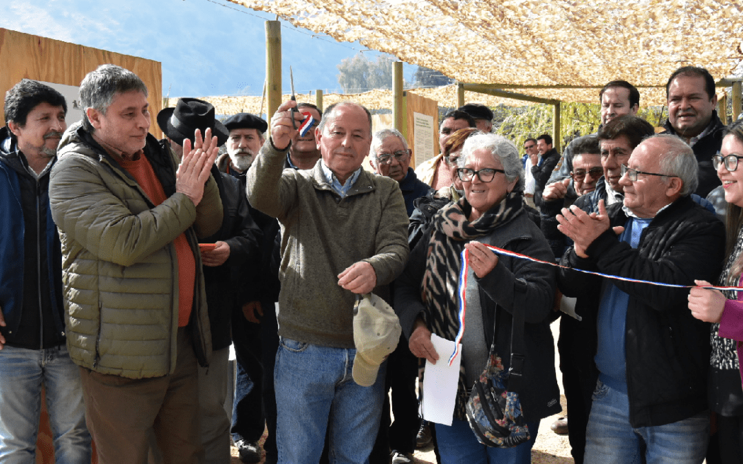 Doñihue inaugura galería cultural y patrimonial vitivinícola vinculada a vides criollas de O’Higgins