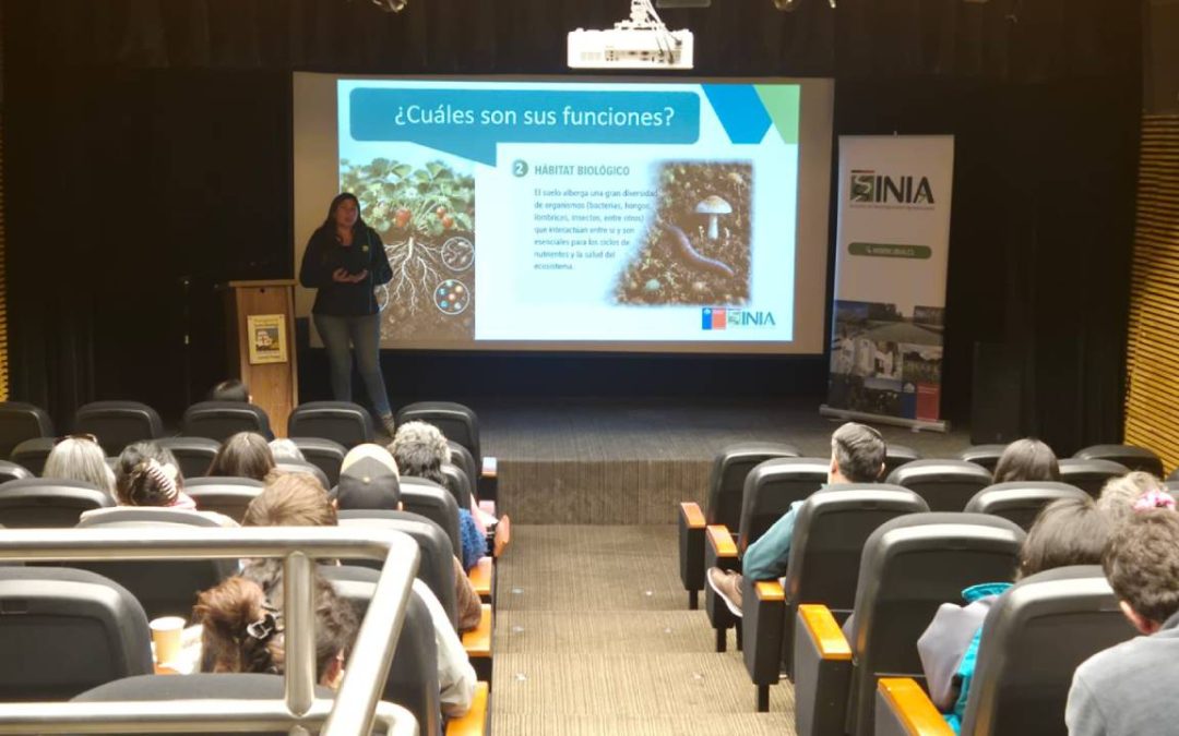 INIA presentó alternativas biológicas y químicas para controlar nematodo que afecta a la frutilla