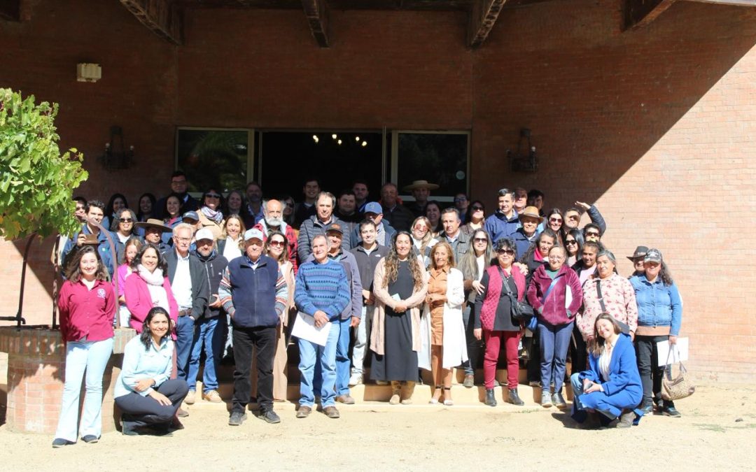 Vitivinicultura de secano y liderazgo femenino impulsan jornada en el Maule