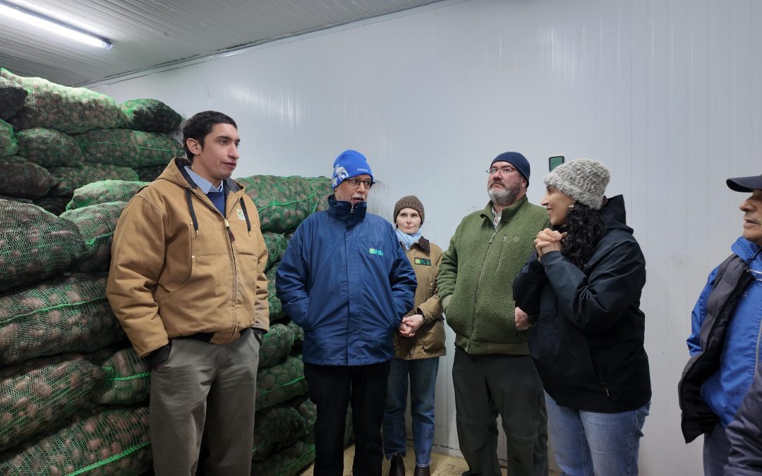 INIA Kampenaike realizó Día de Campo sobre cosecha de papas e innovación en valor agregado para Magallanes
