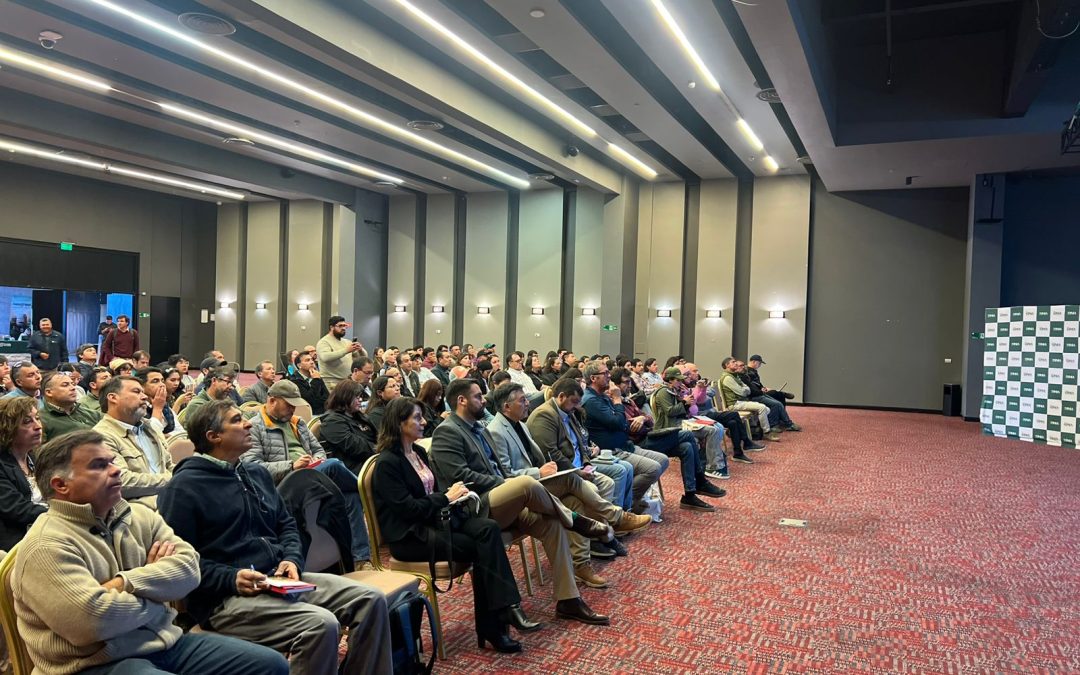 INIA Intihuasi lanza proyecto para optimizar producción de mandarinas en Limarí