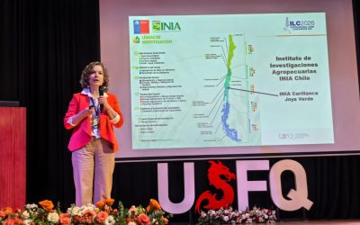 C3