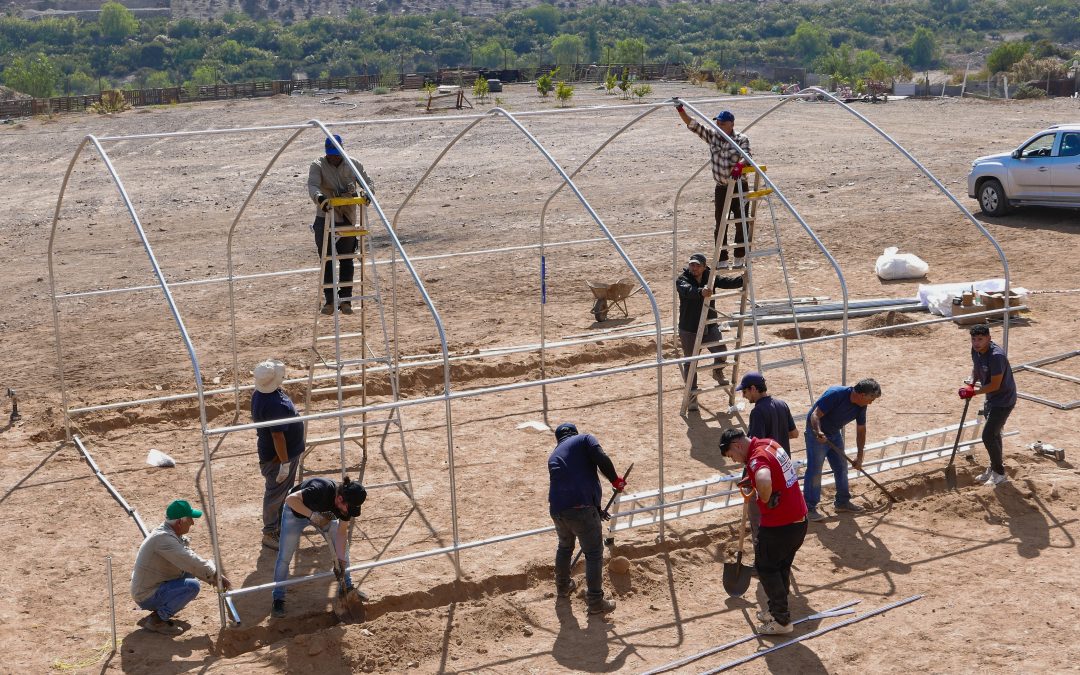 Una minga para cultivar el futuro: agricultores construyen invernaderos hidropónicos en Atacama