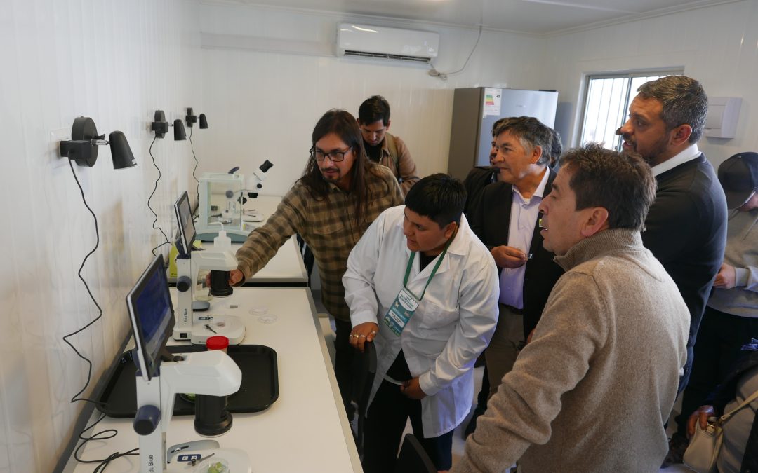 INIA Intihuasi presenta avances de programas que fortalecen la agricultura familiar y el rubro caprino en Atacama
