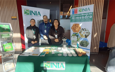 Proyecto nuevo – 2026-06-02T094916.622
