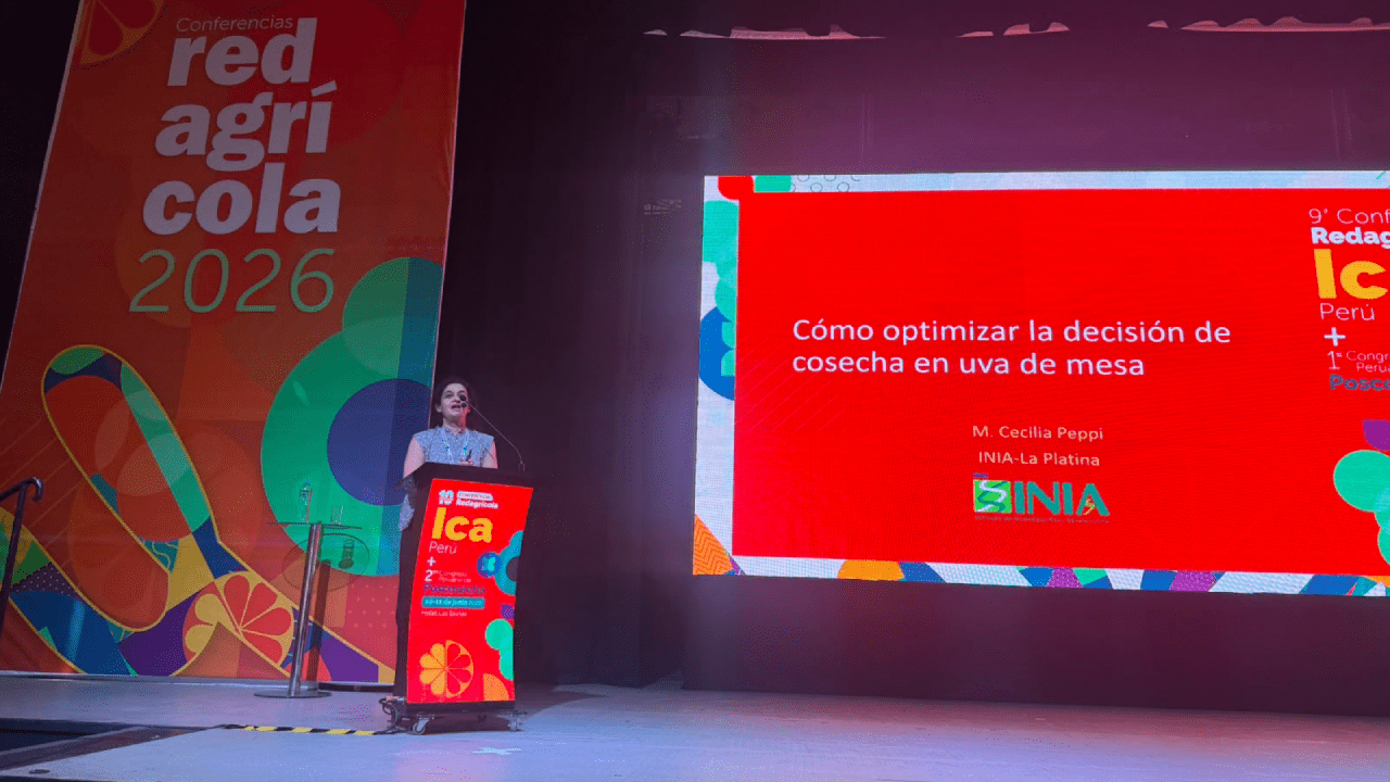 Proyecto nuevo – 2026-06-19T122710.686