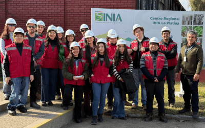 Proyecto nuevo – 2026-06-24T072550.436