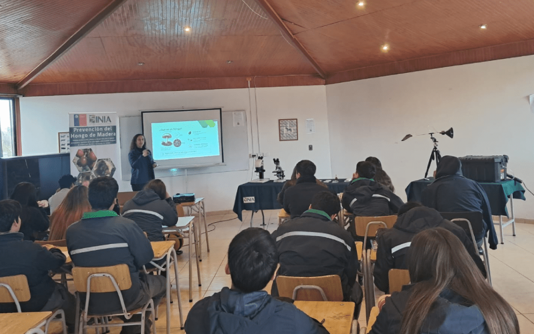 Estudiantes del Liceo Agrícola El Carmen se capacitan en detección y prevención de enfermedades fungosas de la madera