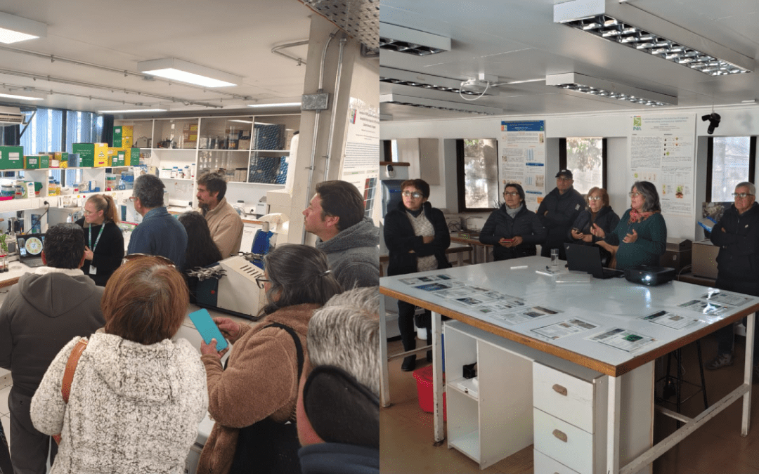 Científicos de INIA La Platina abren las puertas de sus laboratorios a agricultores de Petorca