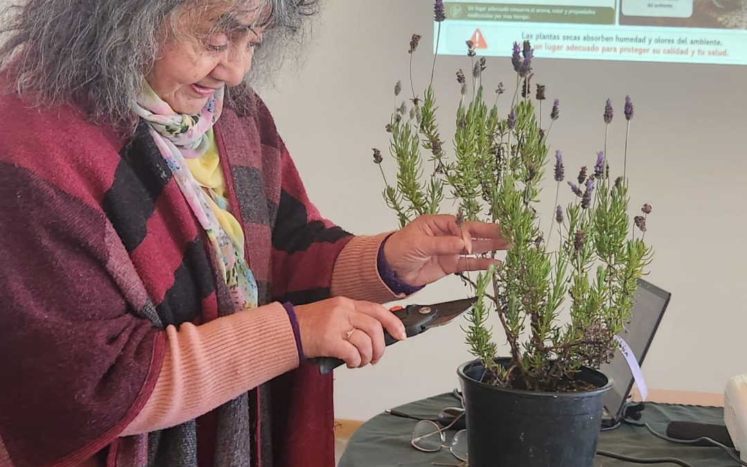 INIA dicta taller de poda cosecha y secado de plantas aromáticas