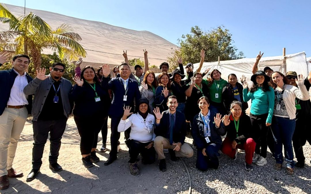Avanzan capacitaciones en agricultura bajo malla en el Valle de Azapa