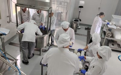 taller quesos 1