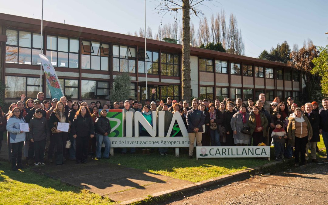 Programa Araucanía Frutícola GORE-INIA fortalece la gestión técnico-económica de productores regionales