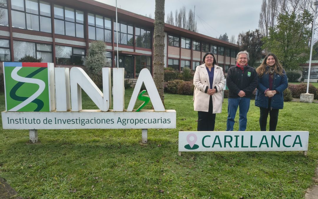Seremi de Ciencia visita INIA Carillanca y conoce investigaciones que impulsan la innovación y el desarrollo sostenible del agro