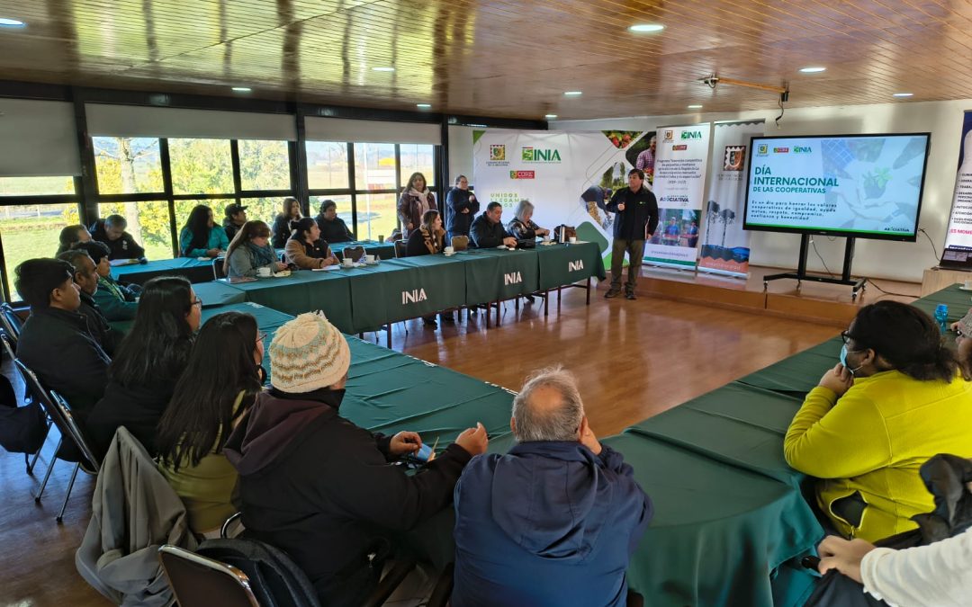 Líderes cooperativos de La Araucanía fortalecen sus capacidades con curso impulsado por el Programa GORE-INIA Araucanía Asociativa