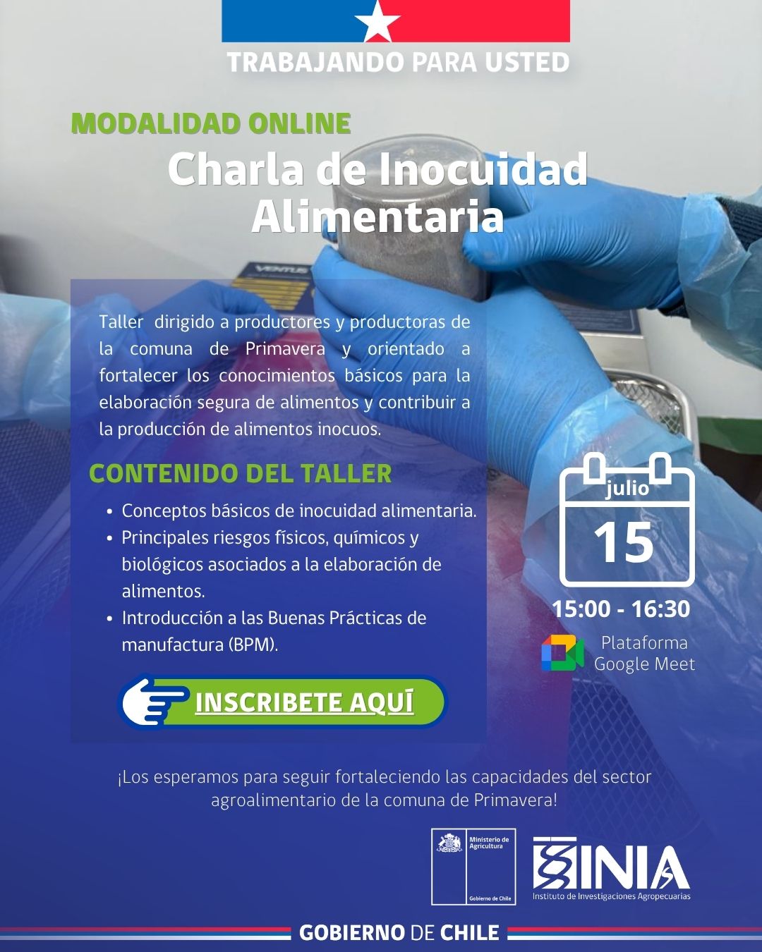 Afiche Charla Online Inocuidad Alimentaria 15.06.2026