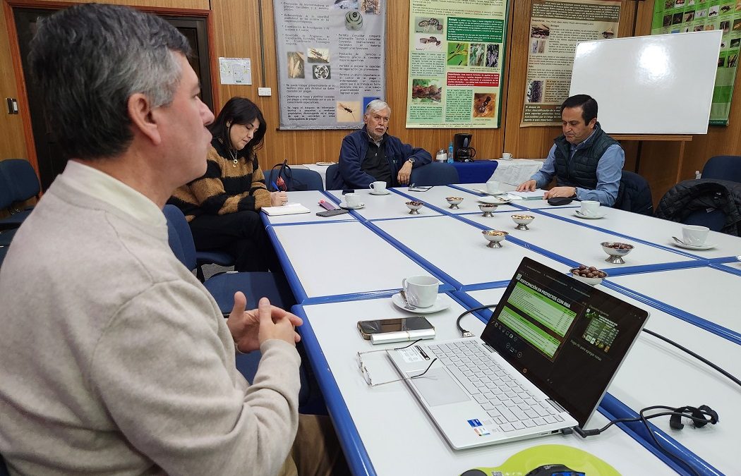 INIA refuerza colaboración con sector forestal e inicia proyecto para manejar plaga que afecta exportaciones de madera