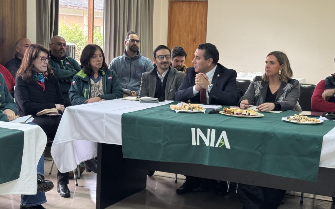 En INIA Remehue: Ministerio de Agricultura reactiva mesa regional de la papa