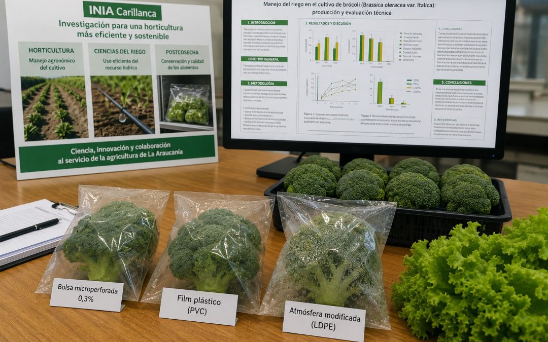 INIA Carillanca fortalece investigación en horticultura sostenible con tres estudios presentados en congreso internacional