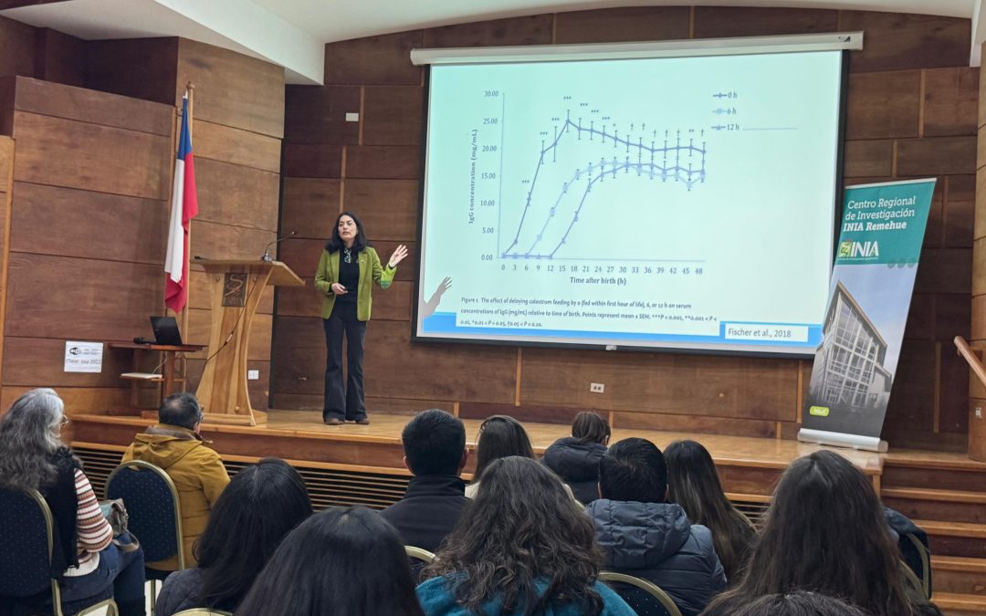 Gran interés generó workshop participativo de INIA Remehue y la Universidad Estatal de Michigan