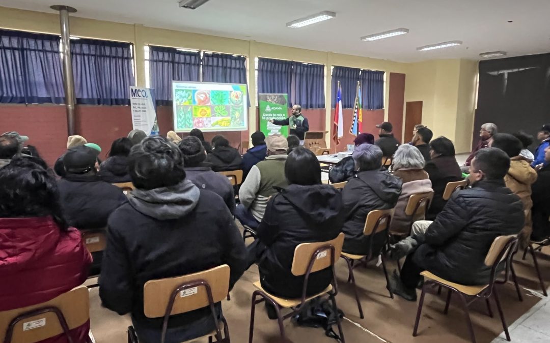 INIA Carillanca capacitó a productores de Quepe en manejo sanitario de cultivos hortícolas