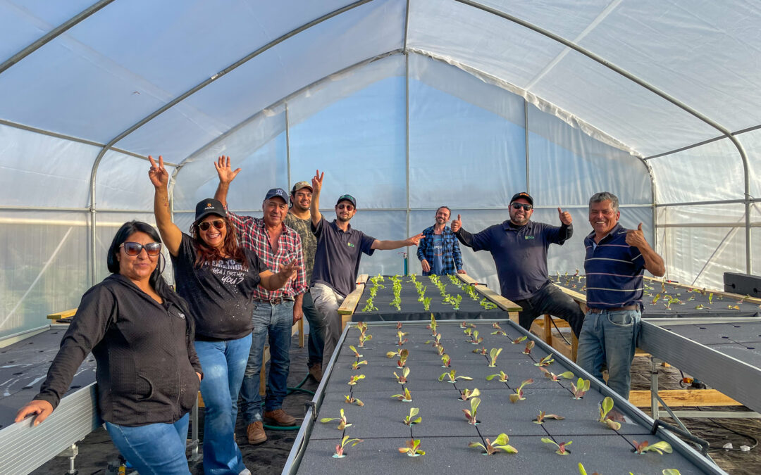 Cultivar sin suelo: agricultores de Atacama avanzan en sistemas hidropónicos ante los desafíos del clima