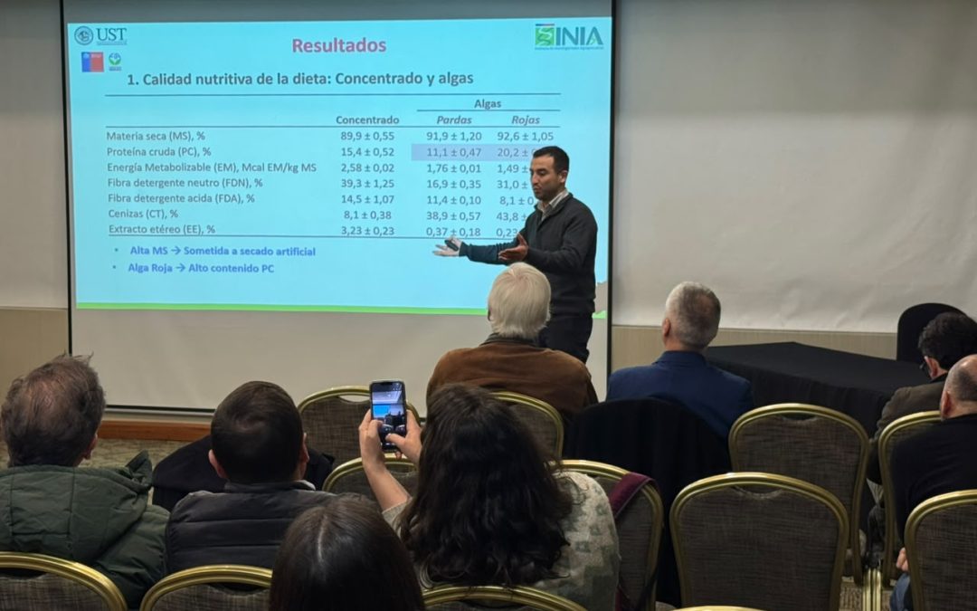 Promisorios resultados logró el proyecto “Algas marinas como aditivo para alimentos de rumiantes”