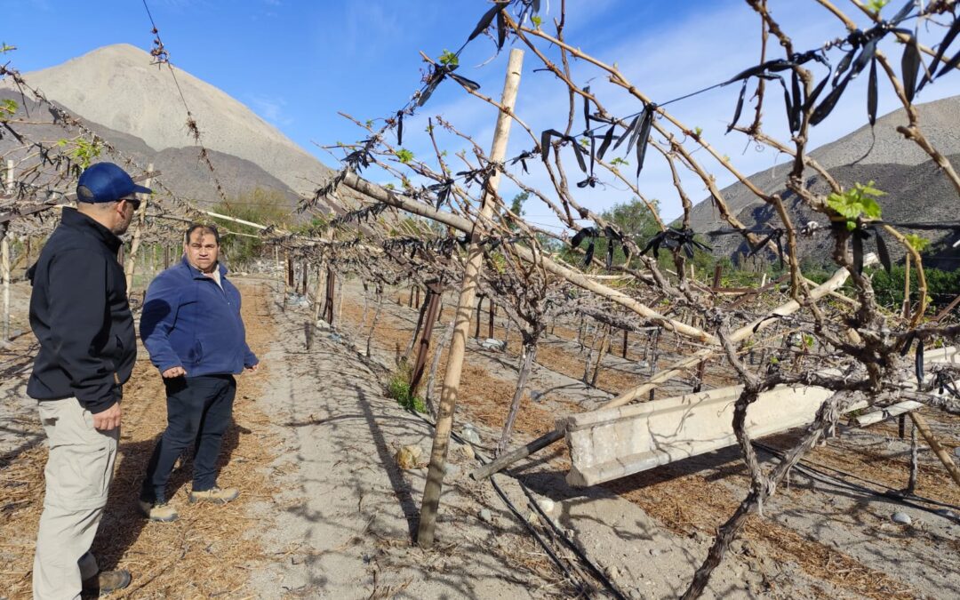 INIA Intihuasi orienta la recuperación de predios agrícolas tras las lluvias