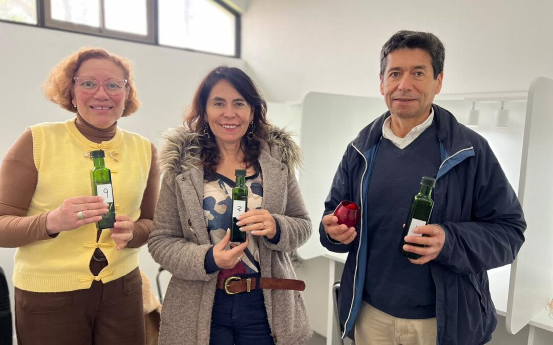 Tradicionales aceites de oliva del Valle del Huasco son sometidos a una cata que define su calidad