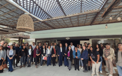 Proyecto nuevo (6)