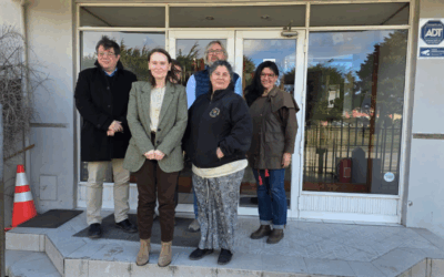 Proyecto nuevo (7)