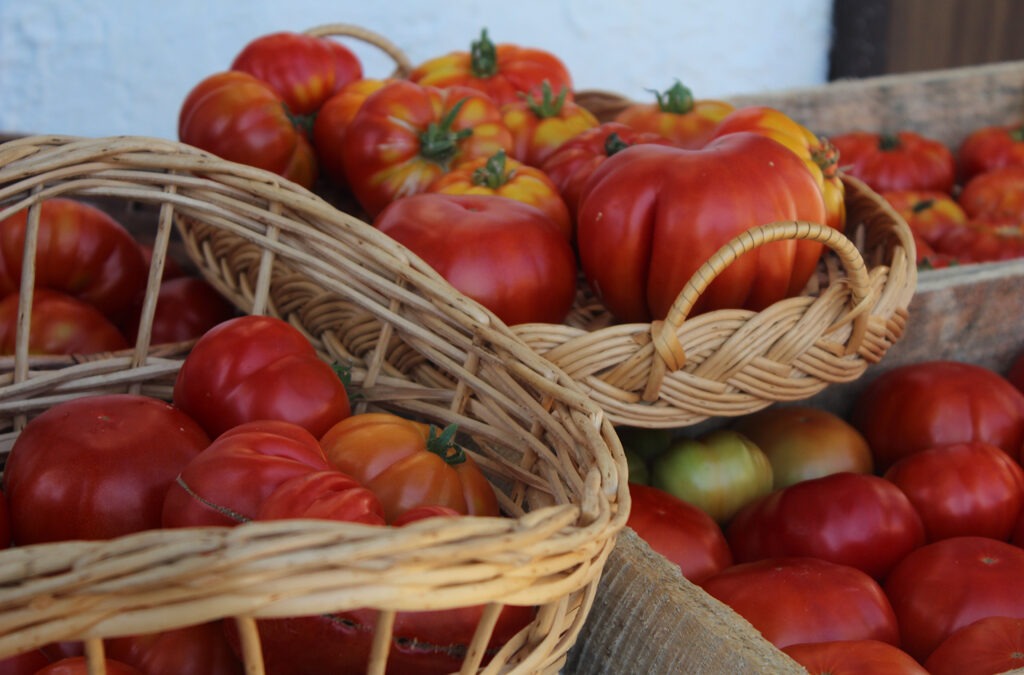 Seminario busca valorizar la agrobiodiversidad de Valparaíso