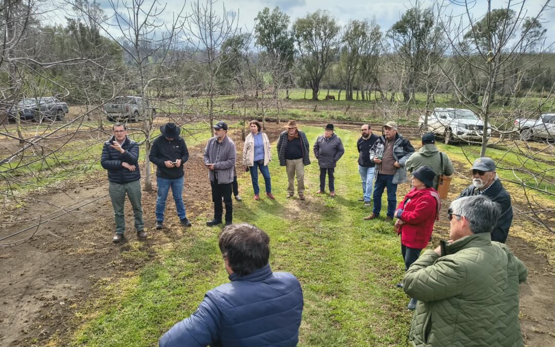 Productores de Malleco conocen en terreno nuevas tecnologías para prevenir enfermedades del castaño