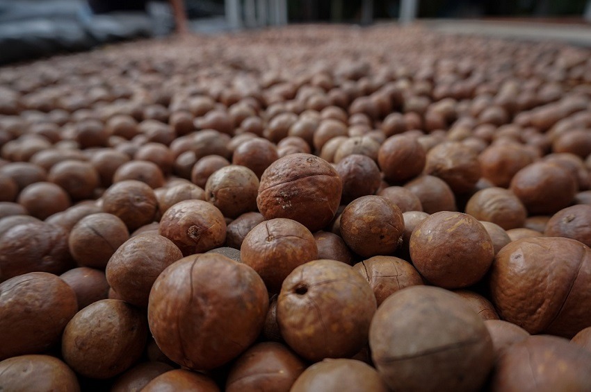 Agricultores de Ñuble en Guatemala 3