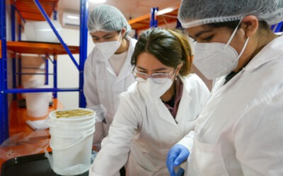 Biofábrica 2 (1)