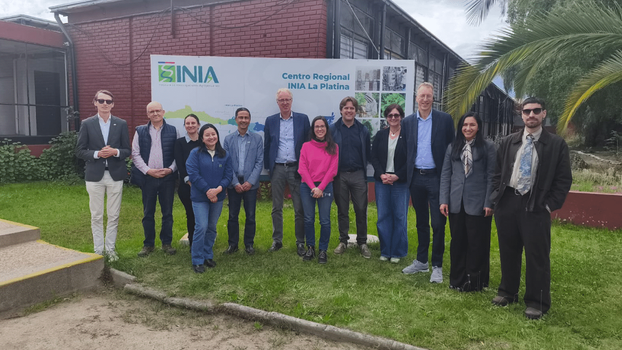 Proyecto nuevo (14)