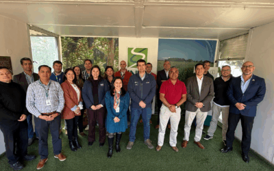 Proyecto nuevo (22)