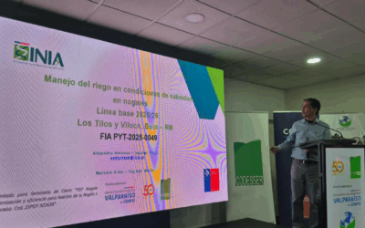 Proyecto nuevo (24)