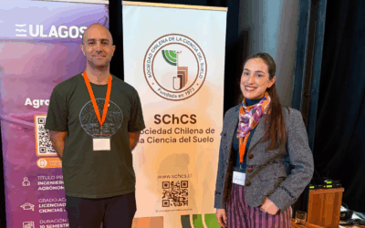 Proyecto nuevo (25)
